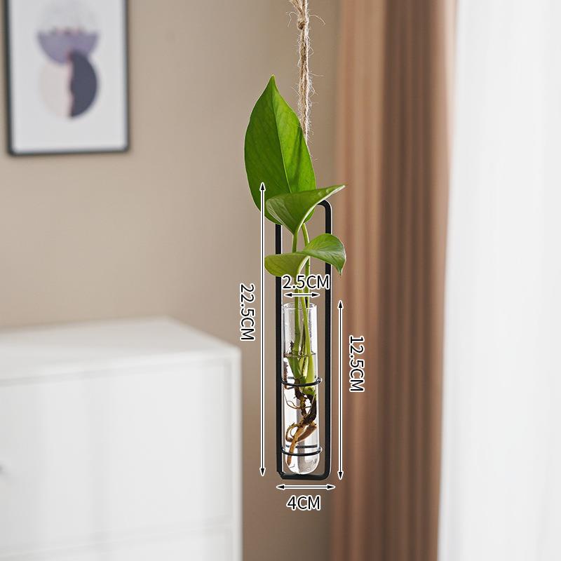 Scandinavian Glass Hydroponic Vase