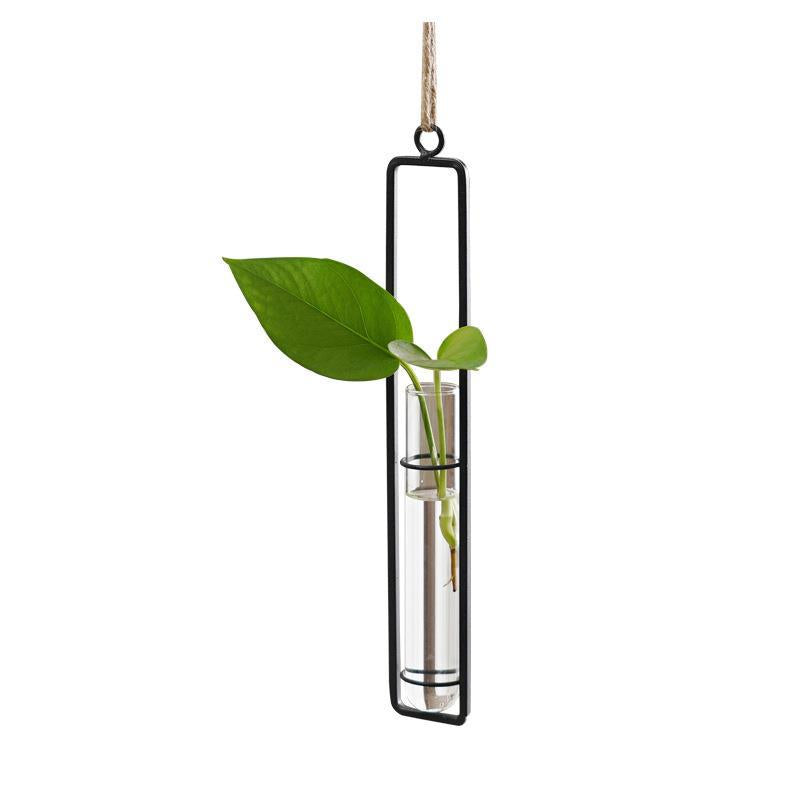 Scandinavian Glass Hydroponic Vase