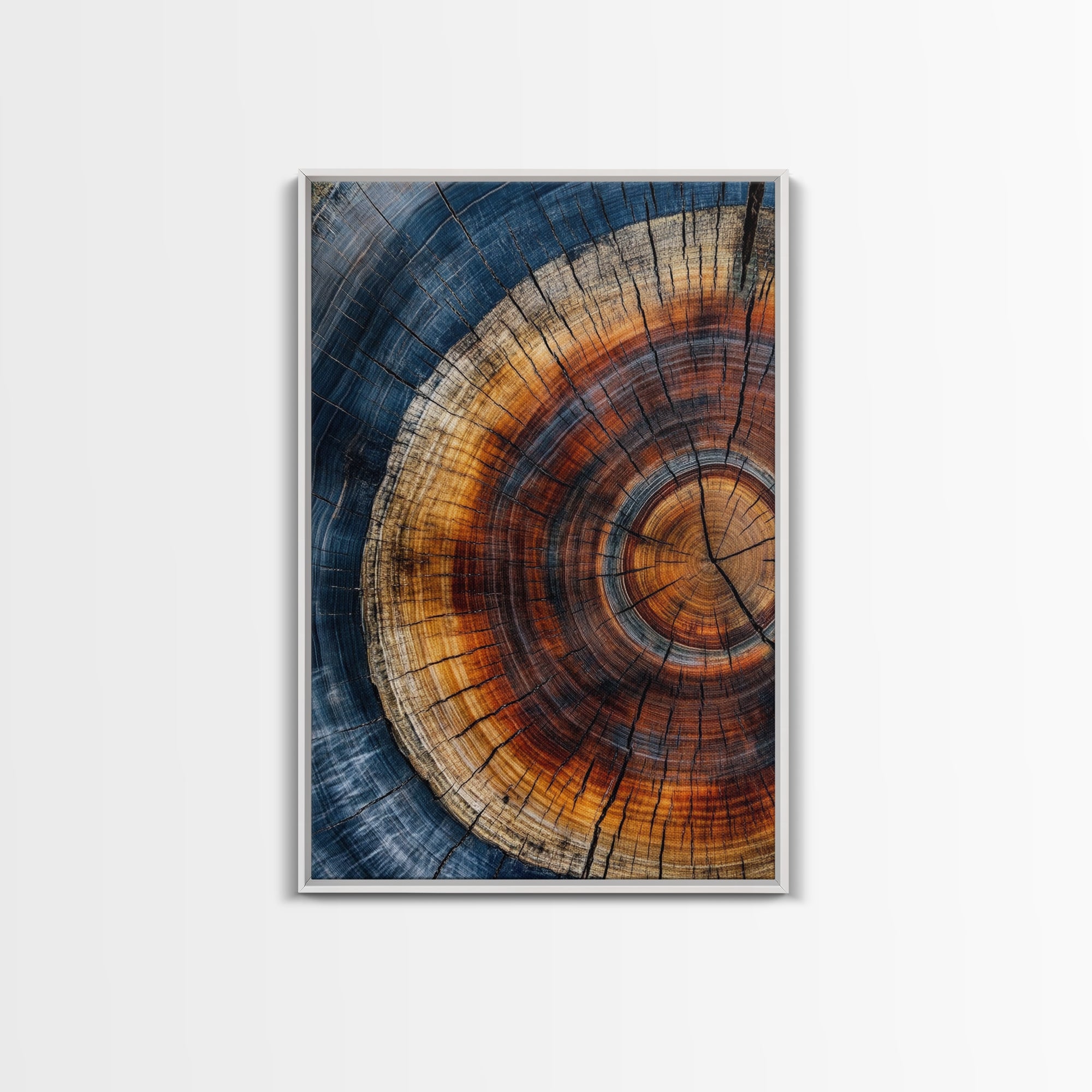 Tree Rings Framed Canvas Print