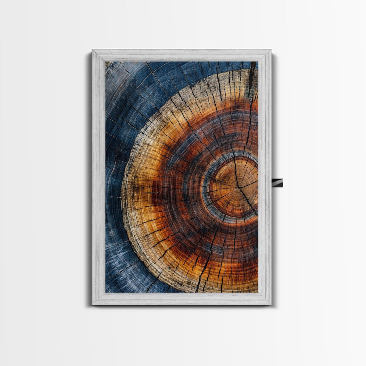 Tree Rings Framed Canvas Print