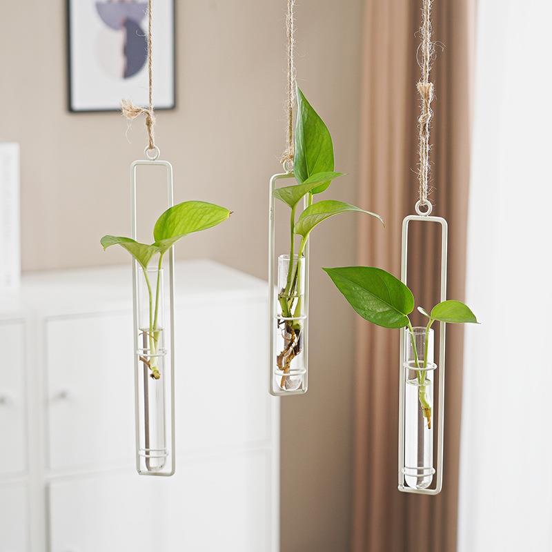 Scandinavian Glass Hydroponic Vase