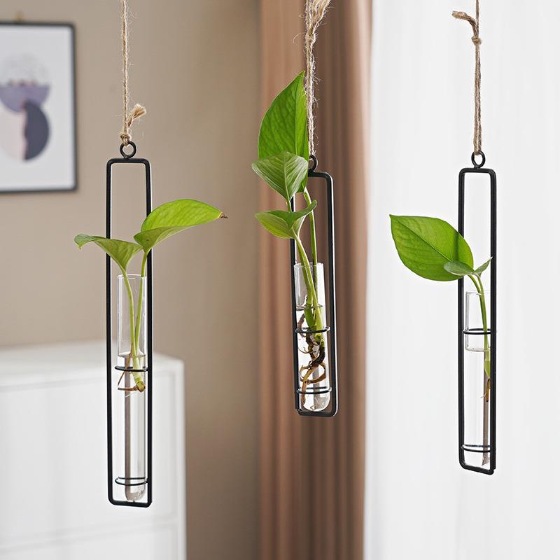 Scandinavian Glass Hydroponic Vase
