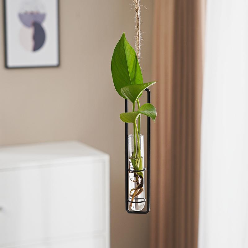 Scandinavian Glass Hydroponic Vase