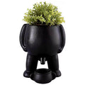 The Peeing Planter