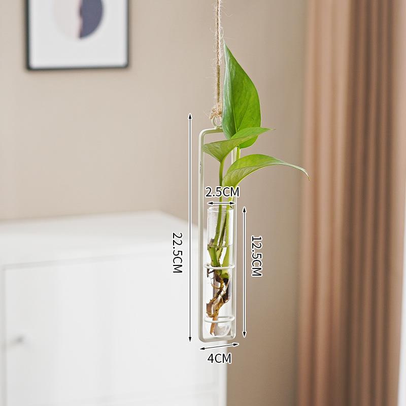 Scandinavian Glass Hydroponic Vase