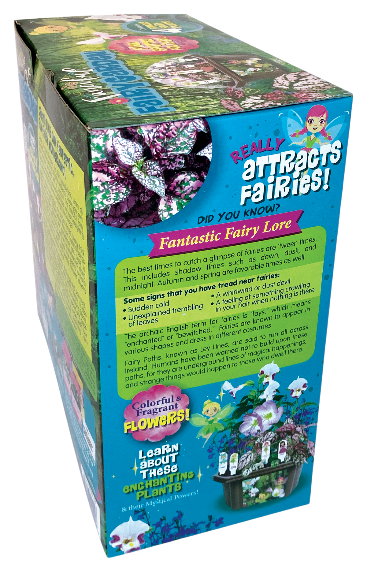 Fanciful Fairy Garden Biosphere Terrarium