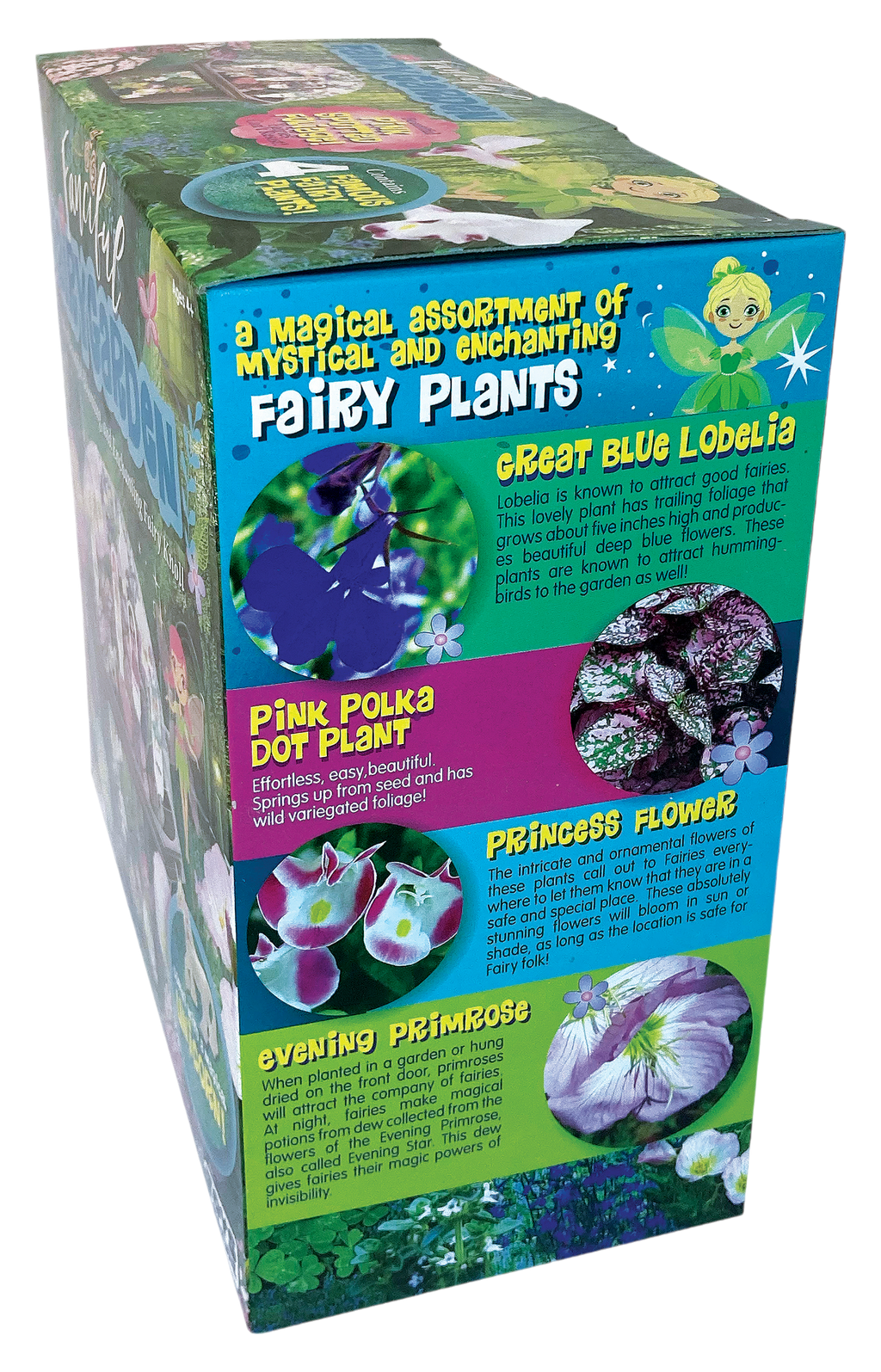 Fanciful Fairy Garden Biosphere Terrarium