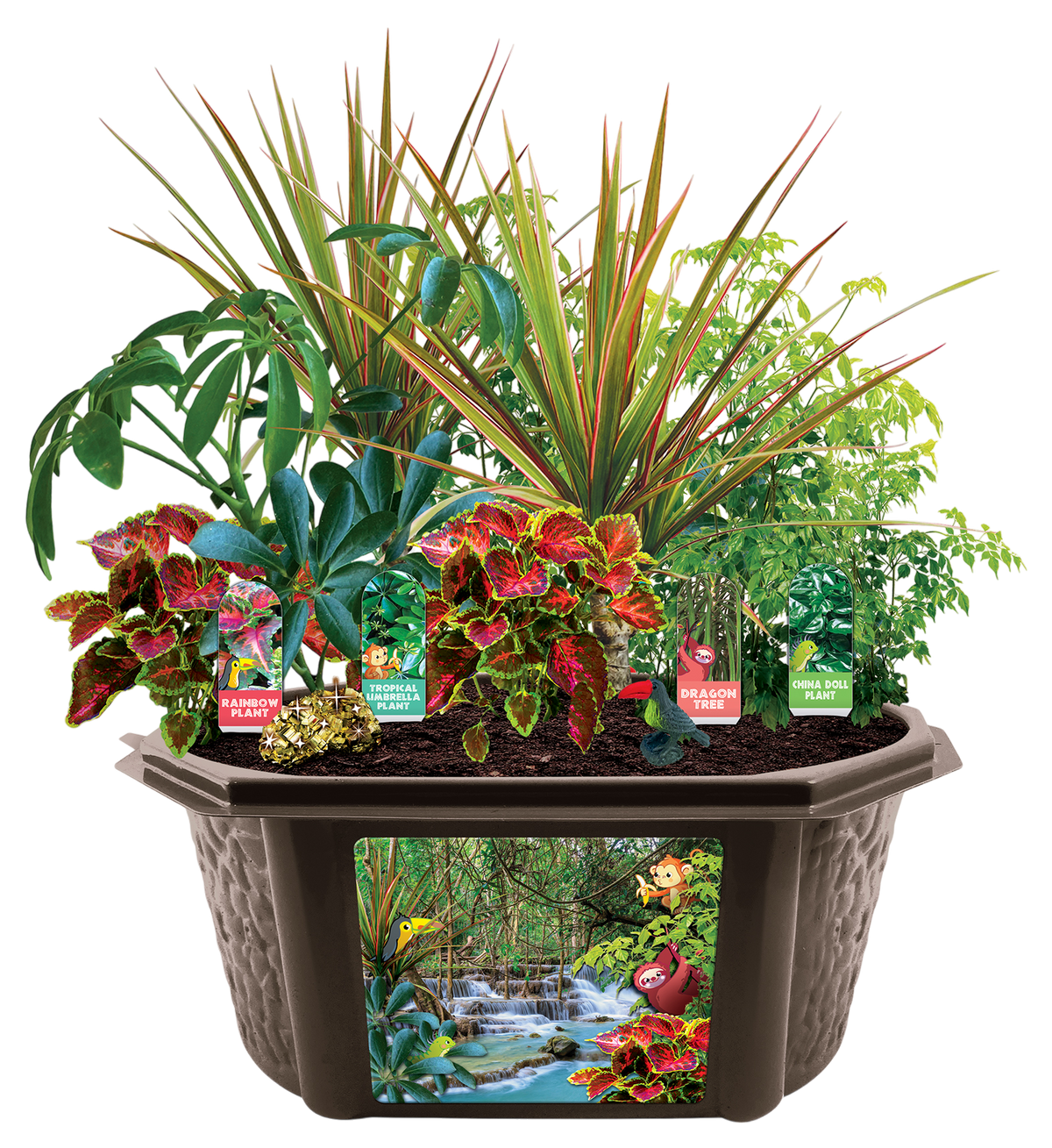 Tropical Rainforest Jungle Biosphere Terrarium
