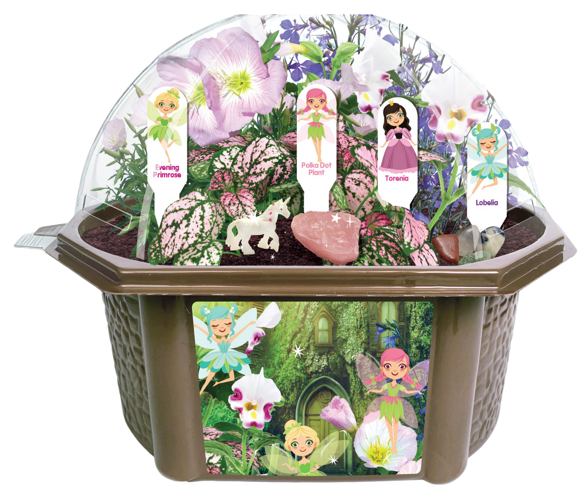 Fanciful Fairy Garden Biosphere Terrarium