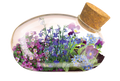 The Flowering Mouse Garden Glass Terrarium with Cork