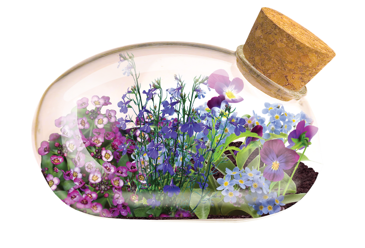 The Flowering Mouse Garden Glass Terrarium with Cork - full glass terrarium with mixed flowers