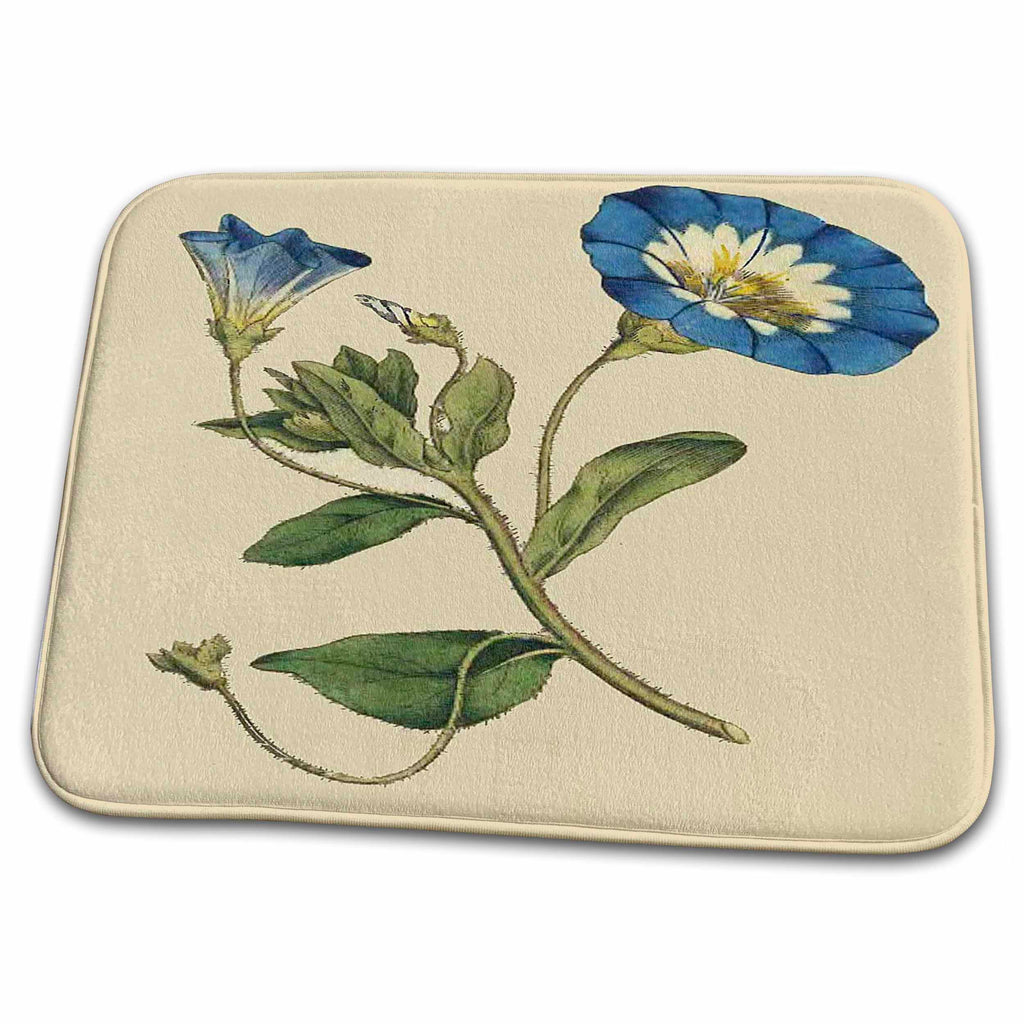 Dish Drying Mat - Print of Bindweed Plant From 1700s Vintage Botanical II