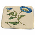 Dish Drying Mat - Print of Bindweed Plant From 1700s Vintage Botanical II