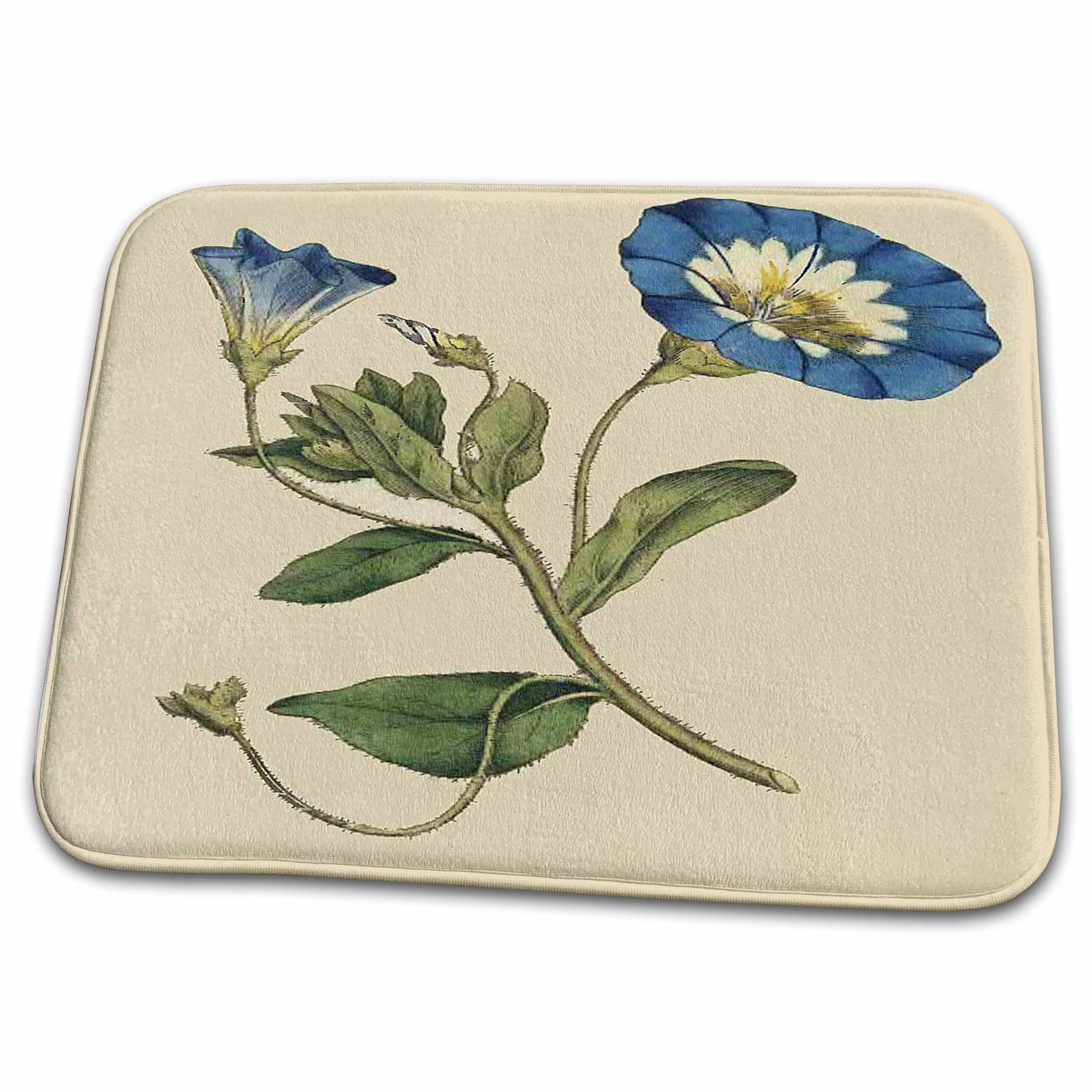 Dish Drying Mat - Print of Bindweed Plant From 1700s Vintage Botanical II