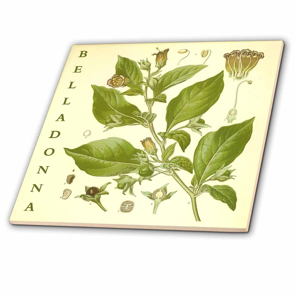 3dRose Belladonna Flower Plant Art Vintage Nature Homeopathy Botanical Print - Tiles (ct-365434)