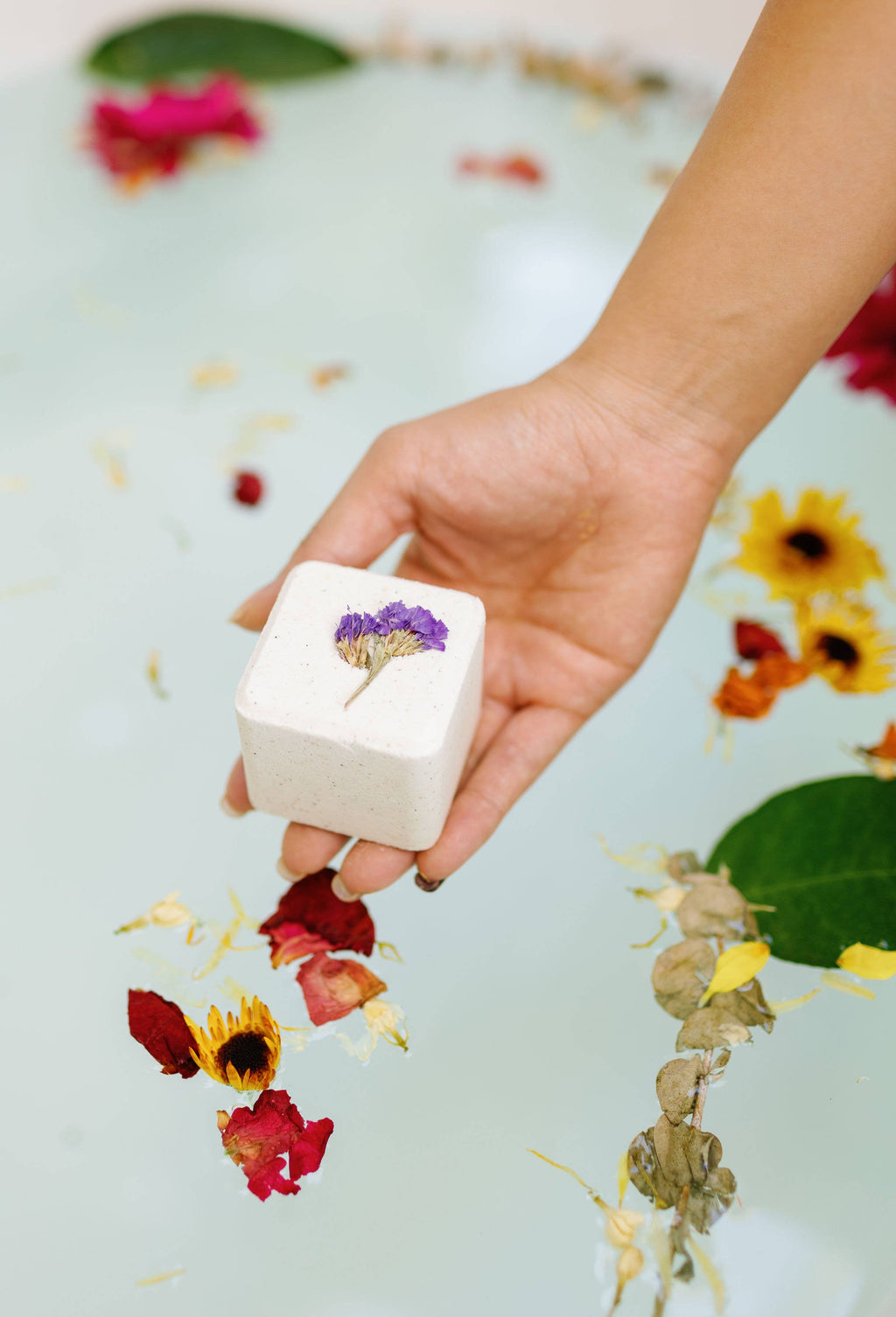 Jumbo Square Botanical Bathbombs