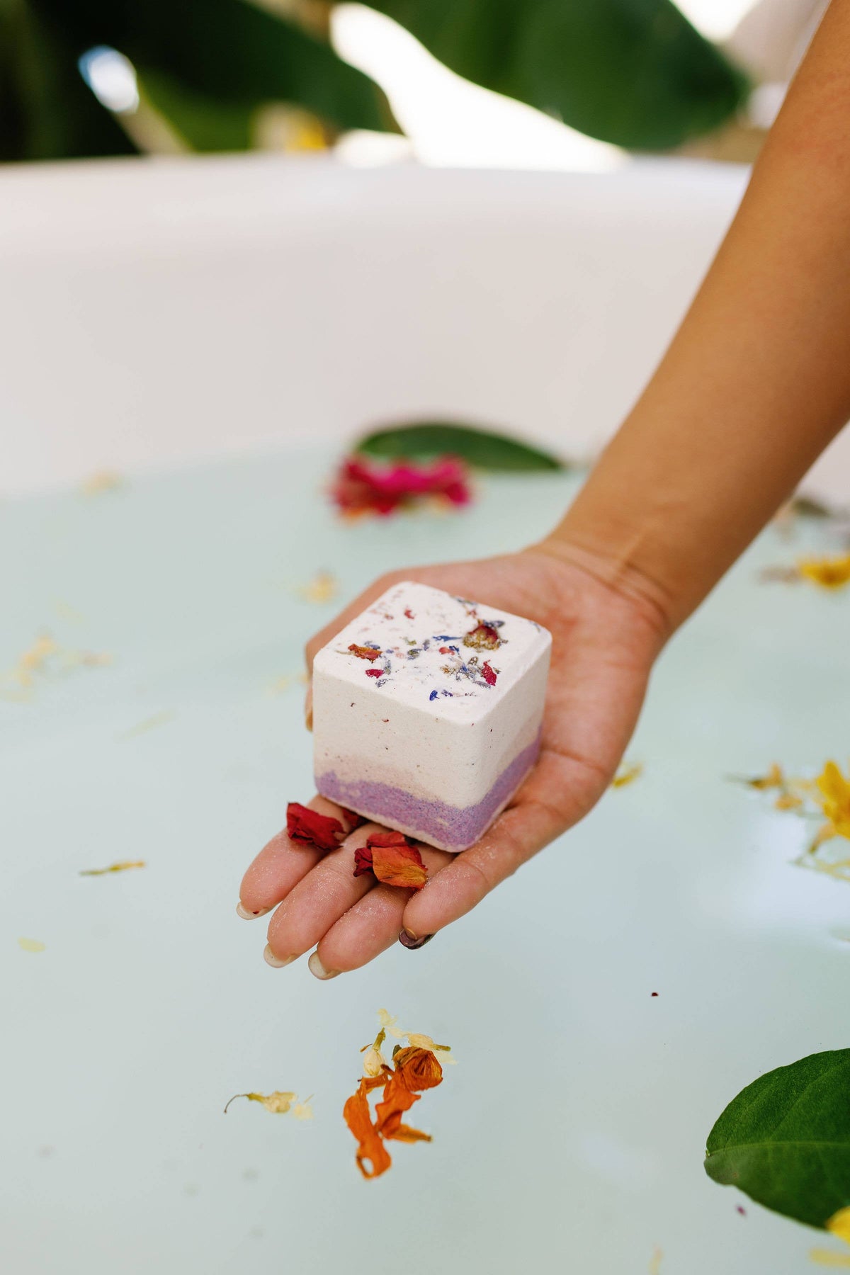 Jumbo Square Botanical Bathbombs