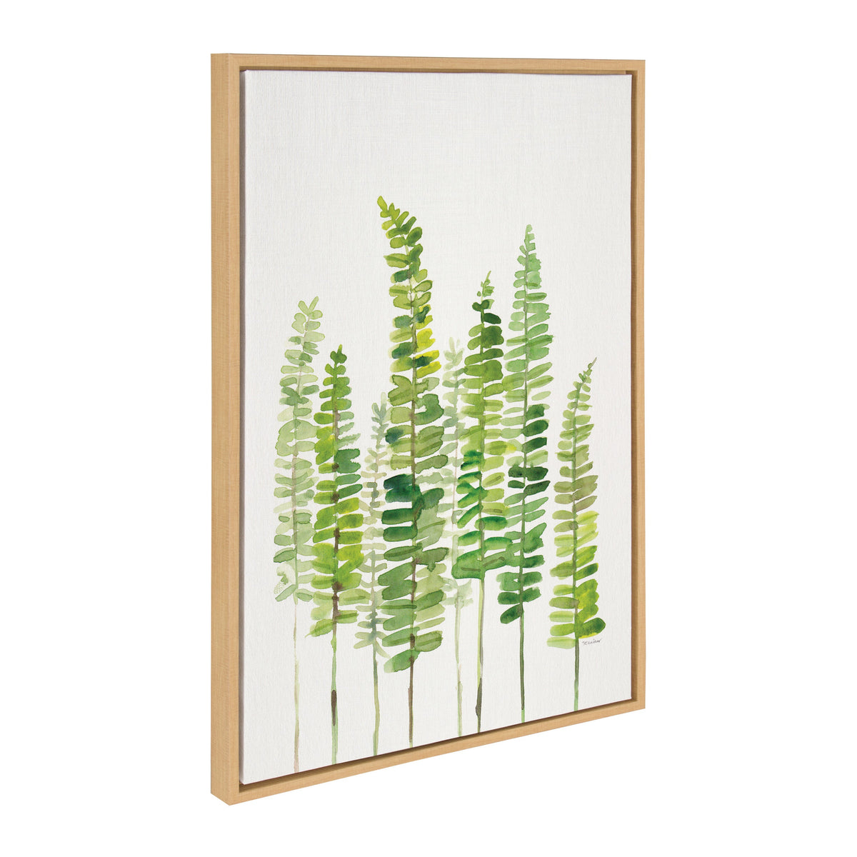 Sylvie Sword Ferns Framed Canvas by Patricia Shaw