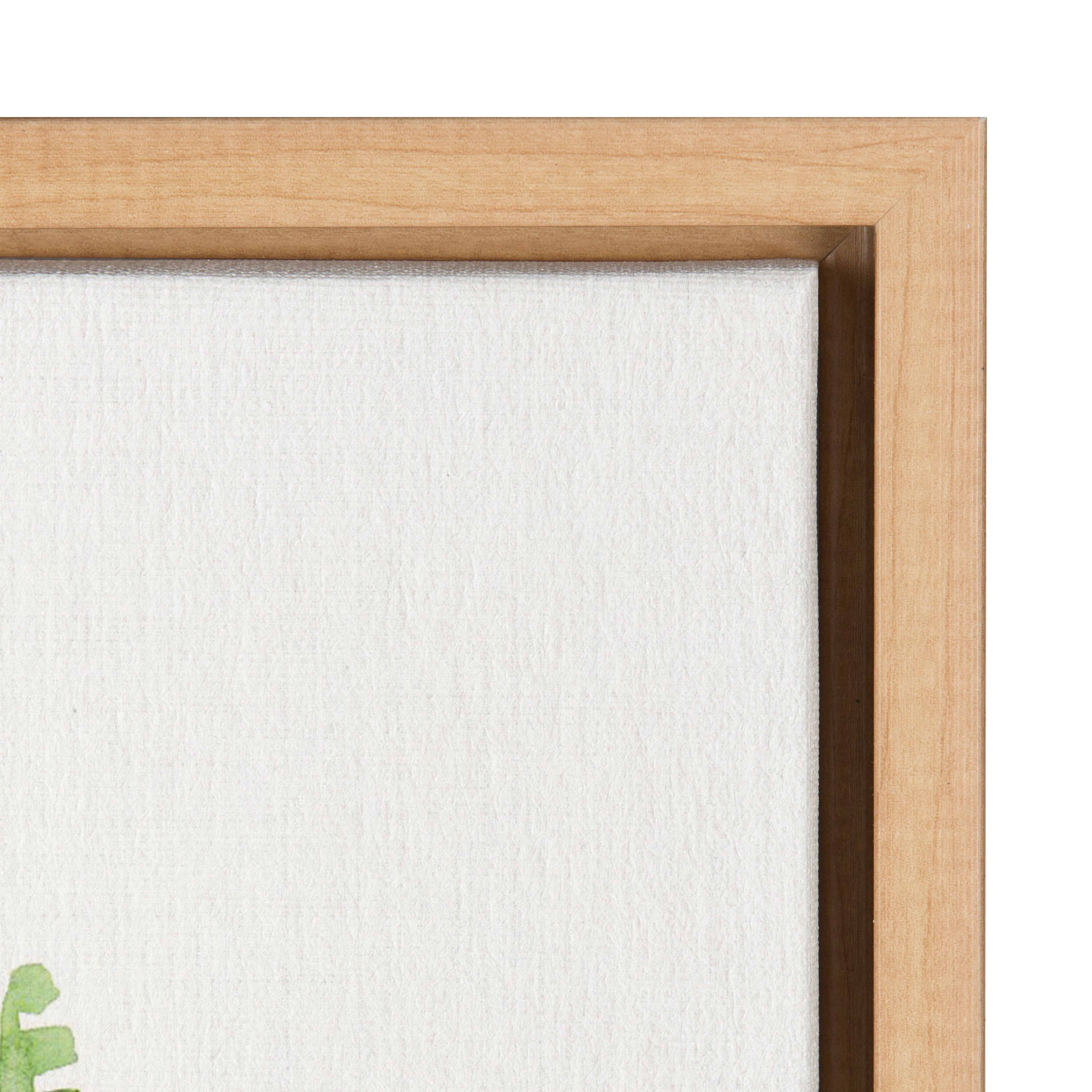 Sylvie Sword Ferns Framed Canvas by Patricia Shaw