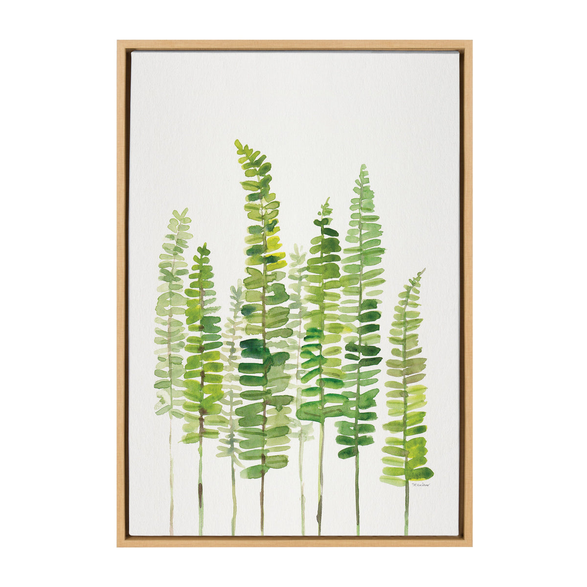 Sylvie Sword Ferns Framed Canvas by Patricia Shaw