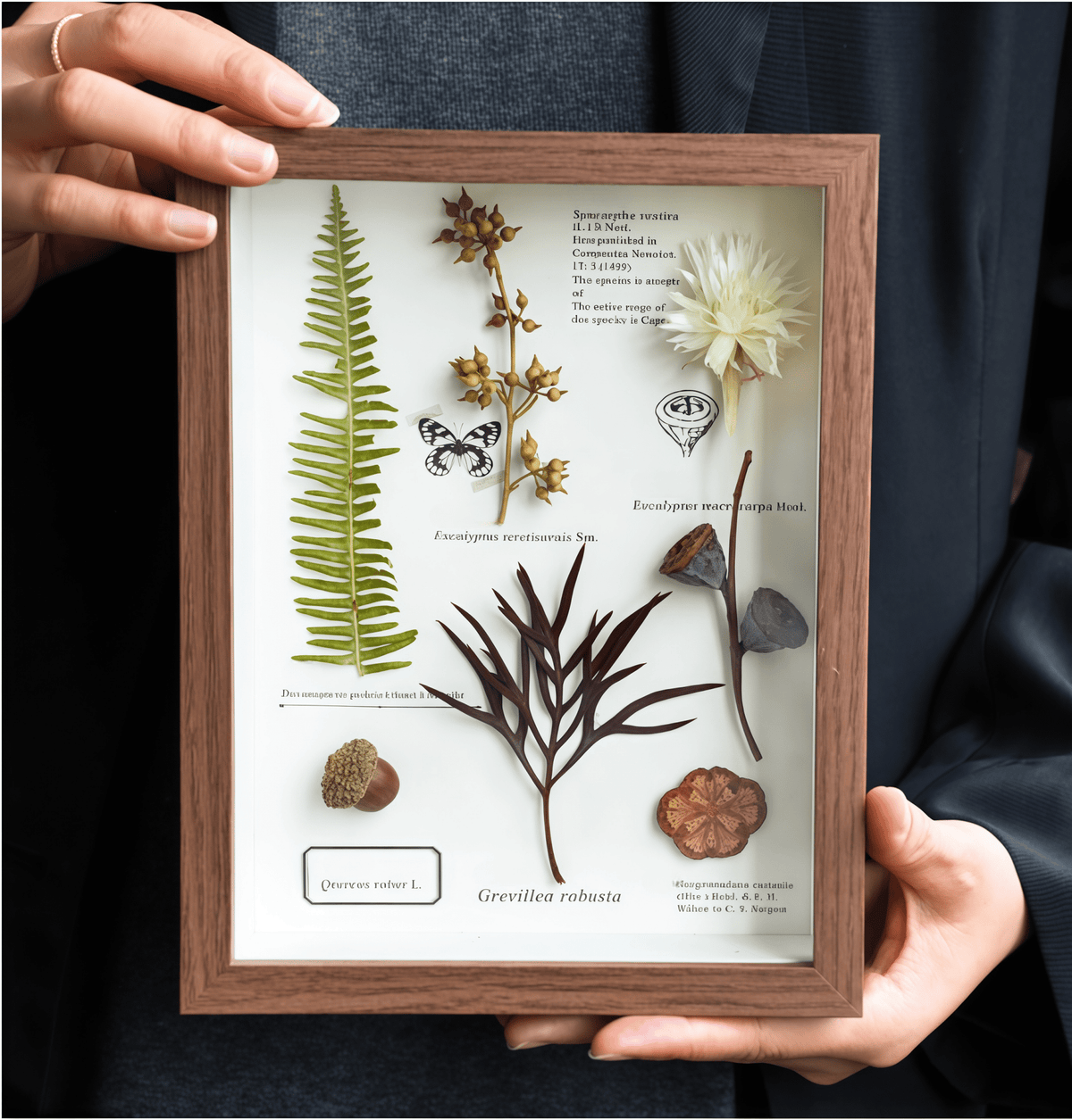 "The Botanist's Journal" Pressed Flower Art Frame