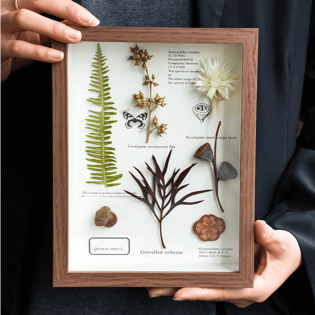 "The Botanist's Journal" Pressed Flower Art Frame