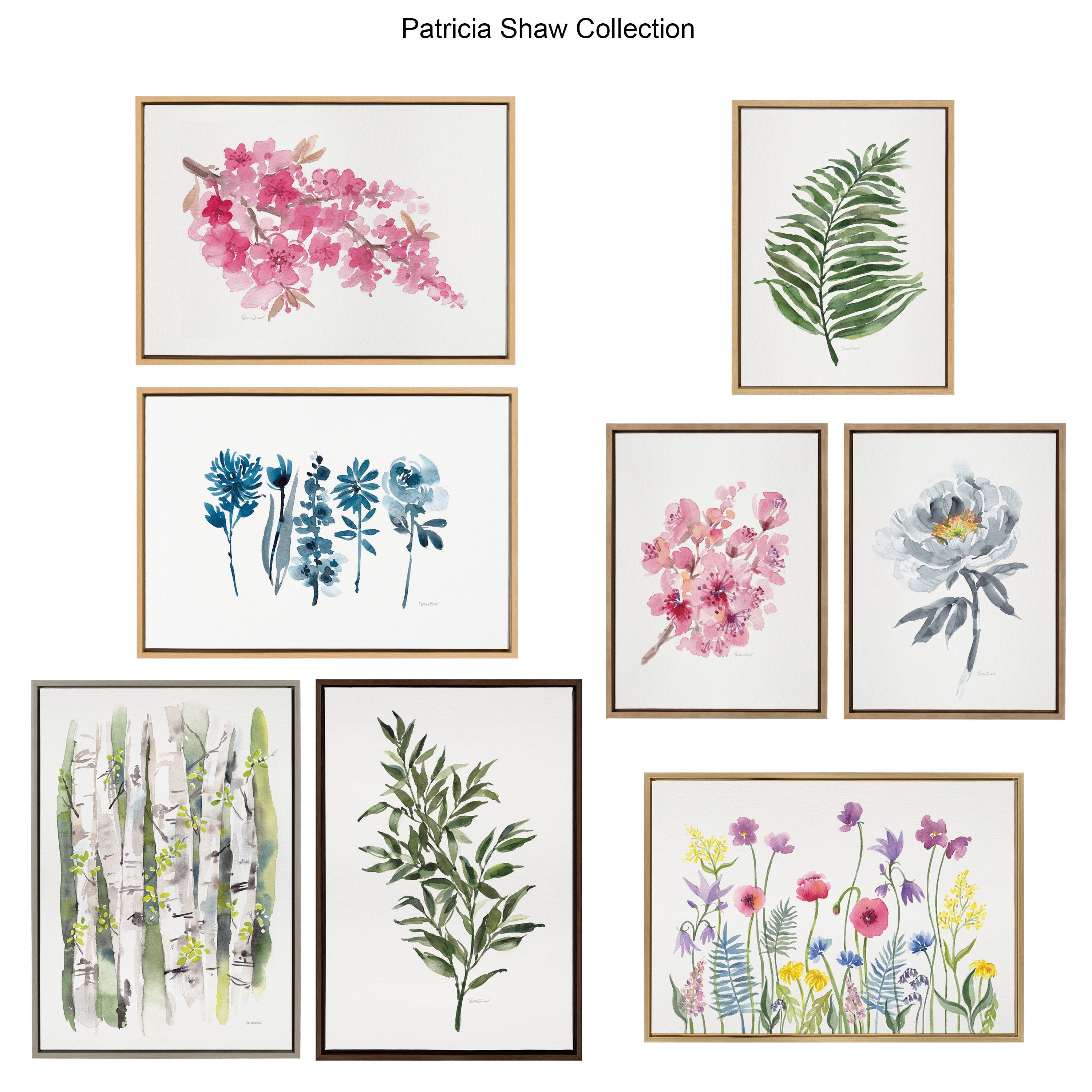 Sylvie Sword Ferns Framed Canvas by Patricia Shaw