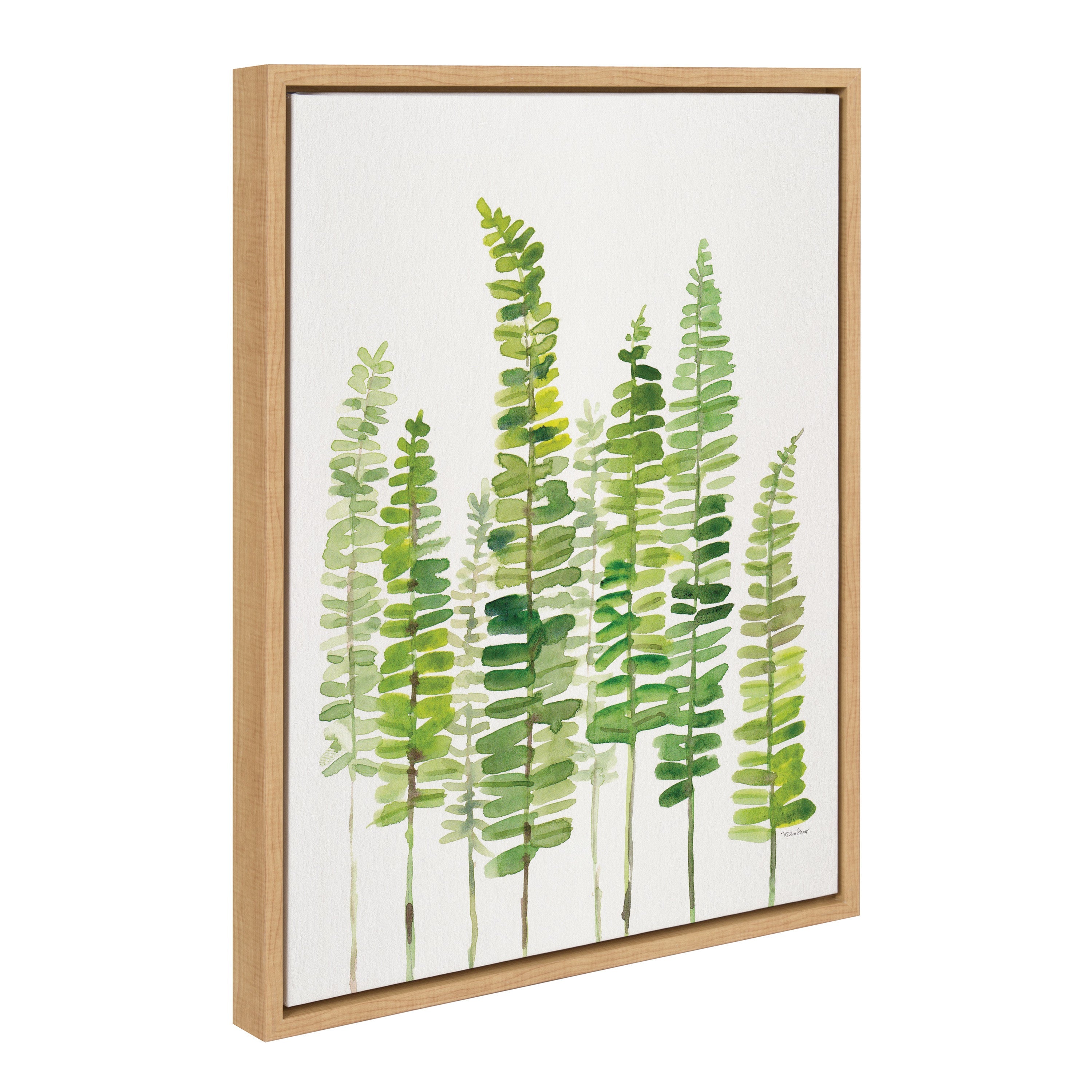 Sylvie Sword Ferns Framed Canvas by Patricia Shaw