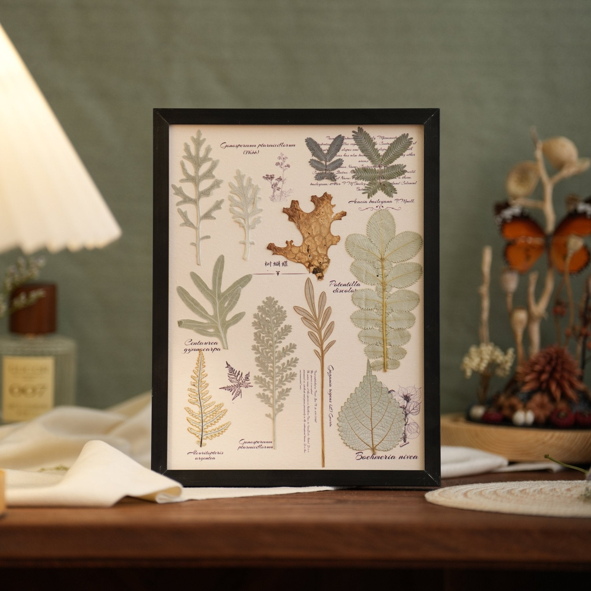"The Botanist's Journal" Pressed Flower Art Frame