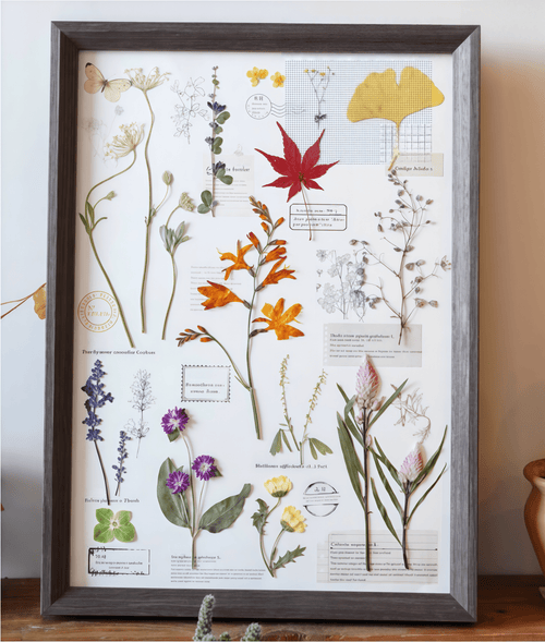 "The Grand Herbarium" Pressed Fern Flower Art