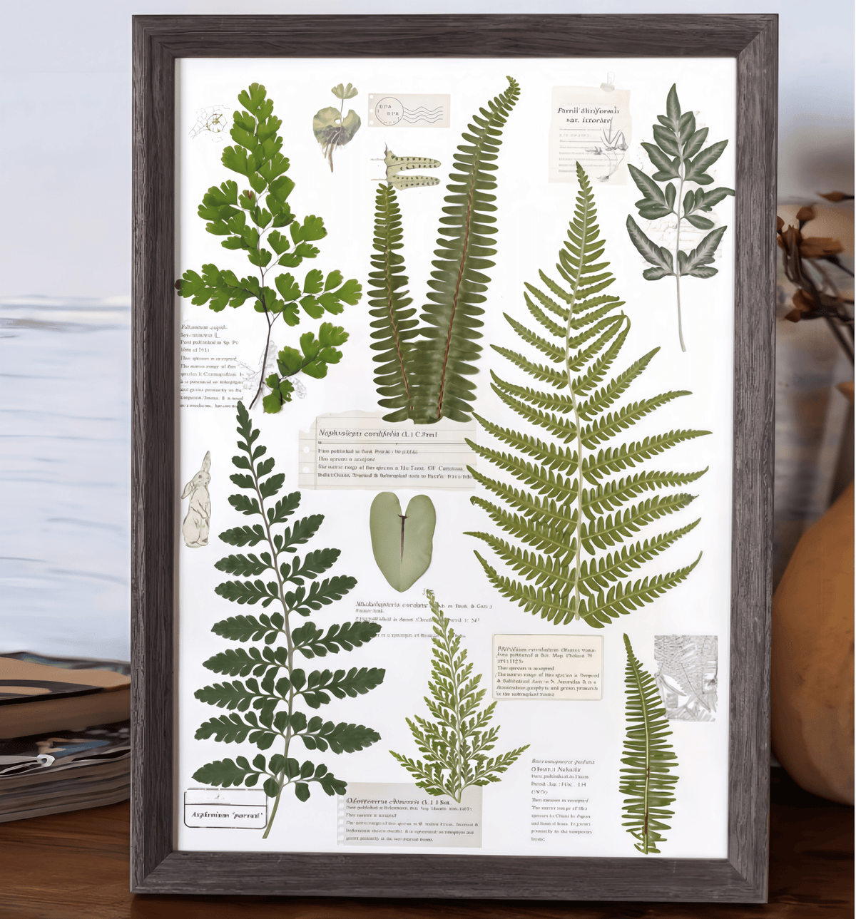 "The Grand Herbarium" Pressed Fern Flower Art